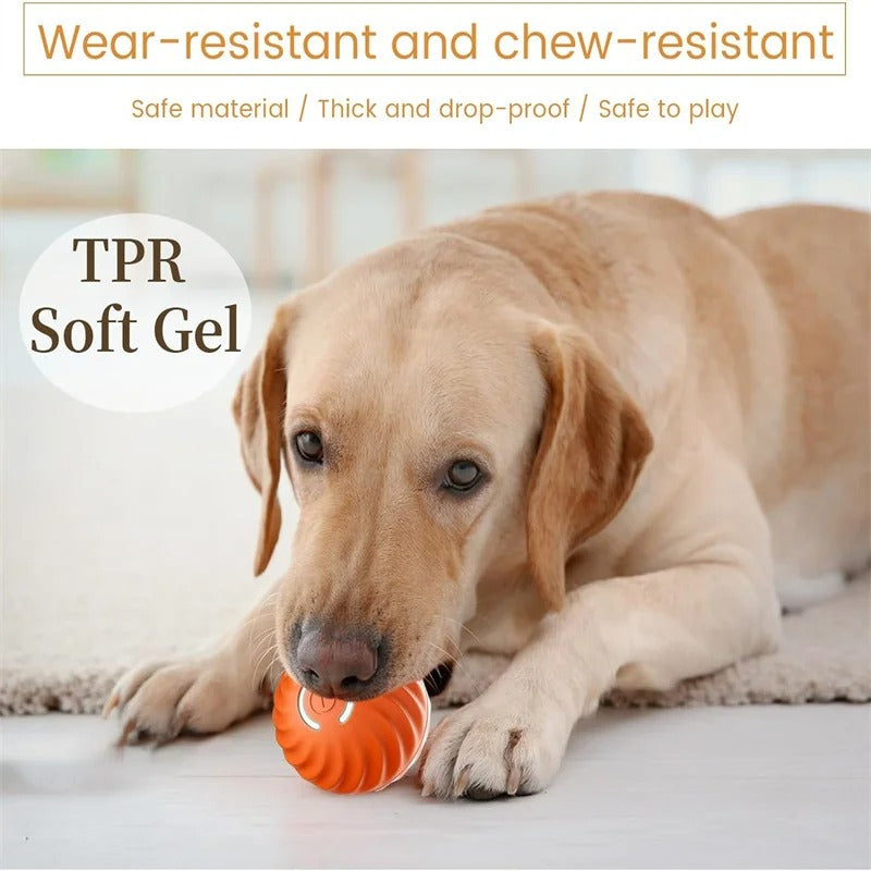 Interactive Smart Pet Ball
